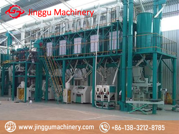 100T economical maize flour milling machine